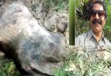 বন্ধুর মেয়ের সঙ্গে অবৈধ সম্পর্ক, সিপিএম নেতা খুন