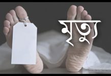 বরিশালে ডেঙ্গুতে বৃদ্ধের মৃত্যু