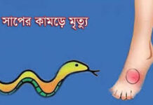 মুলাদীতে জোয়ারের পানিতে ভেসে আসা সাপের কামড়ে গৃহকর্তার মৃত্যু