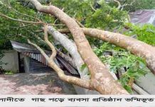 মুলাদীতে গাছ পড়ে ইলেকট্রিক দোকান ভস্মিভূত; ব্যবসা প্রতিষ্ঠানের ব্যাপক ক্ষয়ক্ষতি