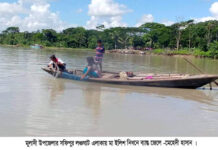 মুলাদীতে নিষিদ্ধ সময়ে মা ইলিশ স্বীকারে ব্যাস্ত -জেলেরা !